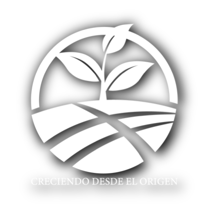 Desde el origen