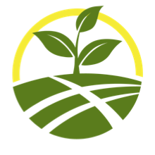 Desde el origen